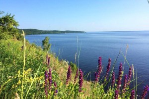 Трахтемирів